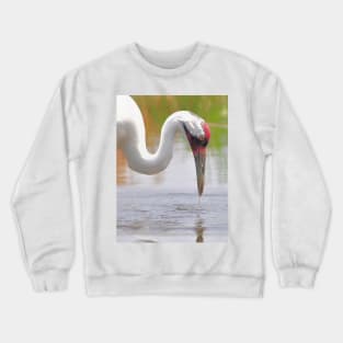 Whooping Crane In Water Crewneck Sweatshirt